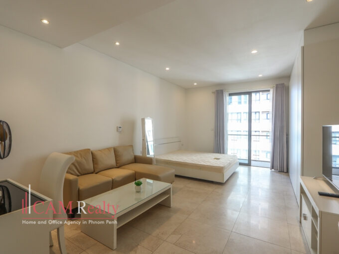 studio for rent at Embassy Residences in Southern Tonle Basak - N4055168