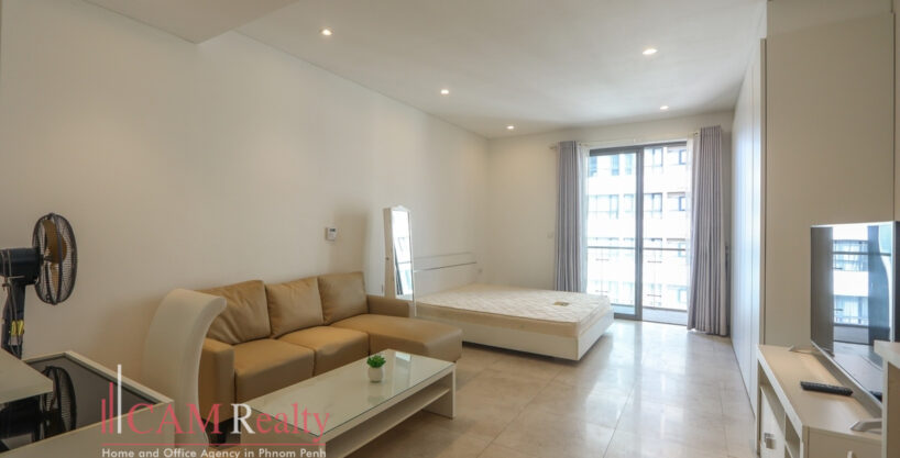 studio for rent at Embassy Residences in Southern Tonle Basak - N4055168