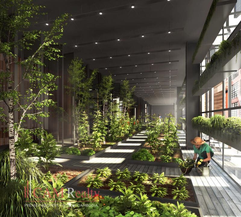 Picasso Sky Gemme: BKK1-Phnom Penh